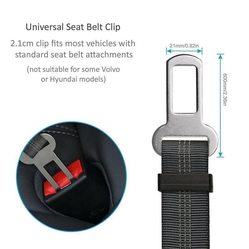 2-Pack Pet Car Seatbelt — Adjustable Safety Harness Lead