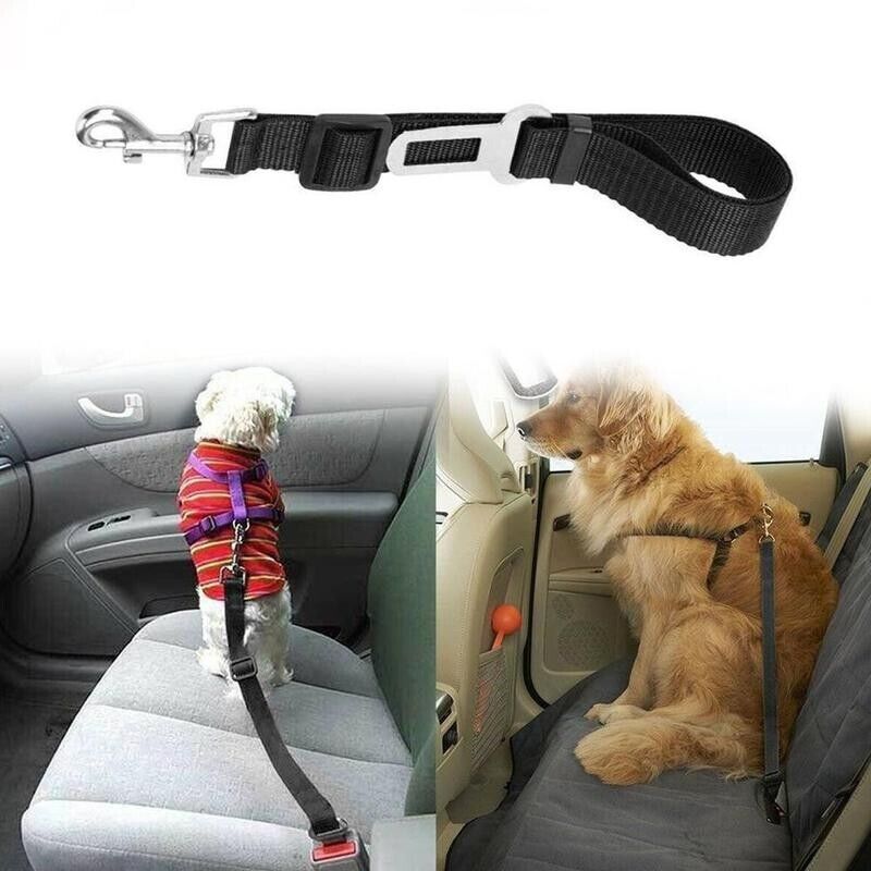 2-Pack Pet Car Seatbelt — Adjustable Safety Harness Lead