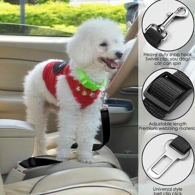 2-Pack Pet Car Seatbelt — Adjustable Safety Harness Lead