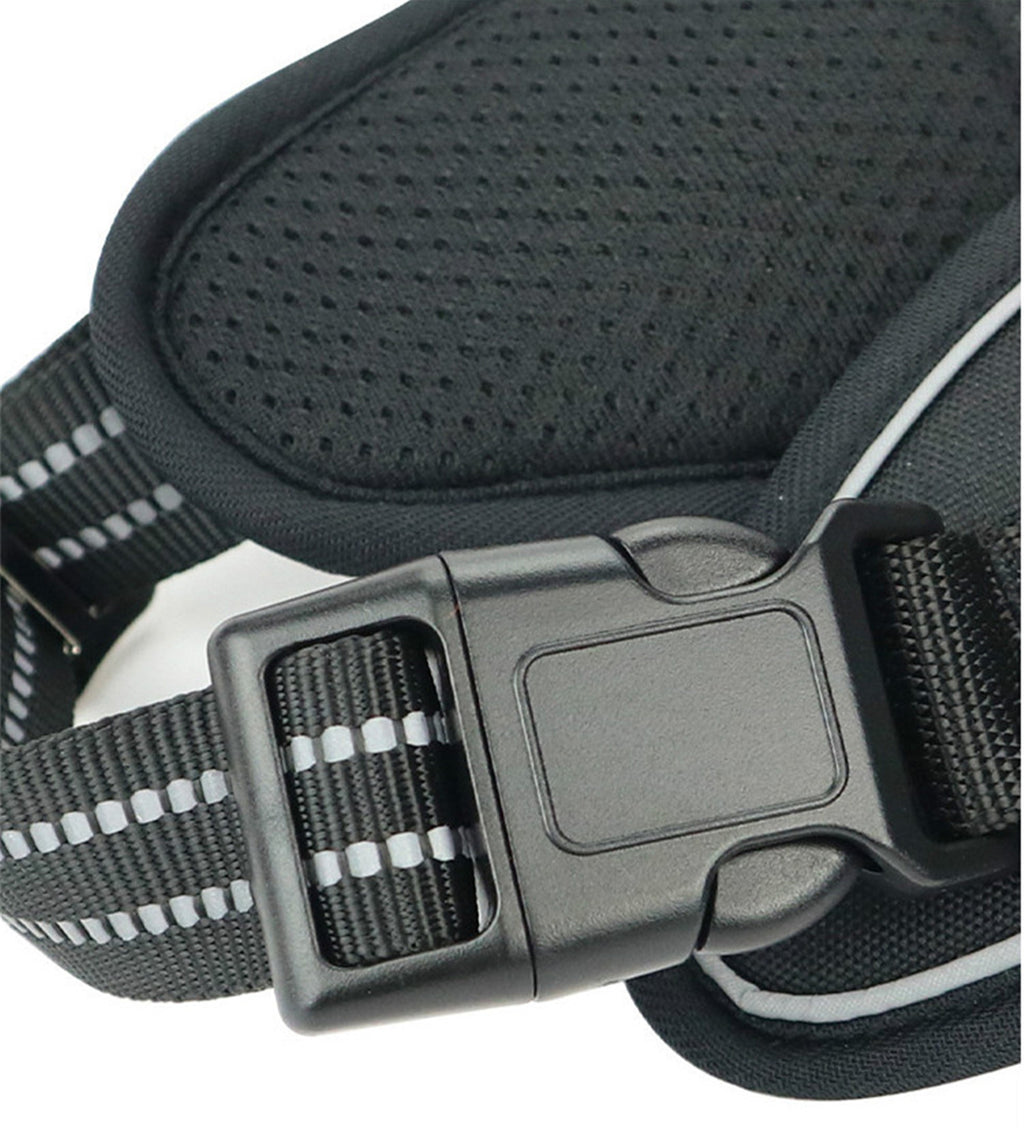 Waterproof Pet Harness with Handle — Adventure & Travel Ready