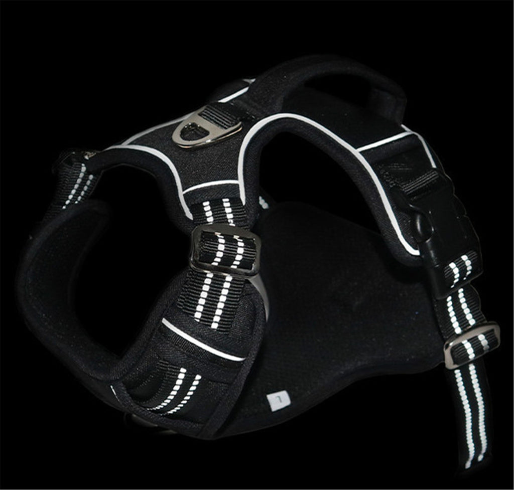 Waterproof Pet Harness with Handle — Adventure & Travel Ready