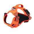 Waterproof Pet Harness with Handle — Adventure & Travel Ready