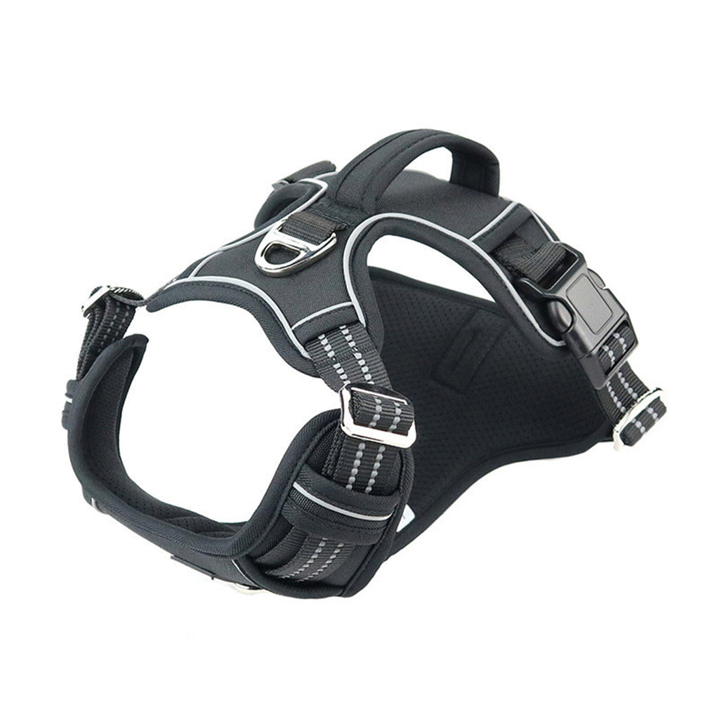 Waterproof Pet Harness with Handle — Adventure & Travel Ready